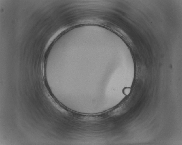 X0000081300796200702012308