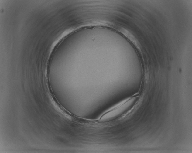 X0000081300797200702012308