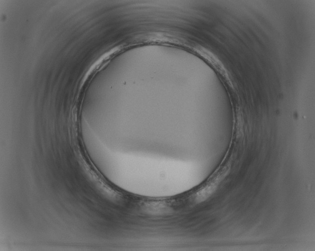 X0000081300798200702012308