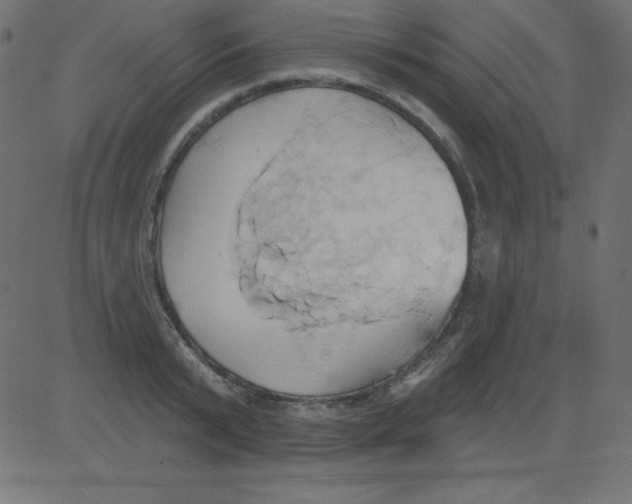 X0000081300799200702012308