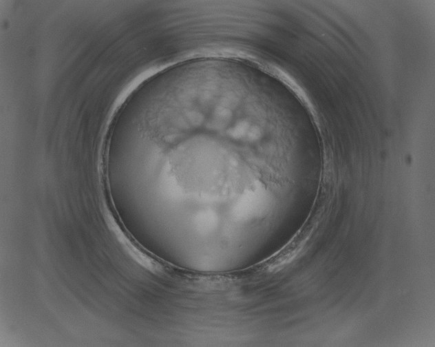 X0000081300803200702012308