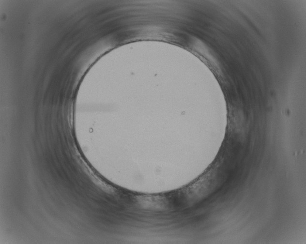 X0000081300804200702012308