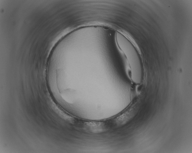 X0000081300805200702012308