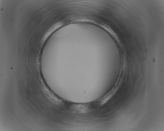 X0000081300806200702012308