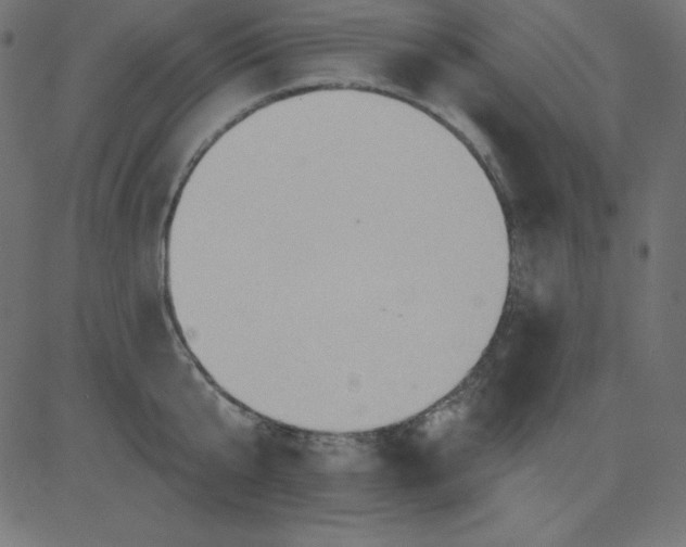 X0000081300807200702012308