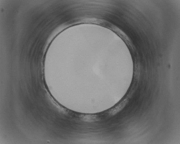 X0000081300808200702012308