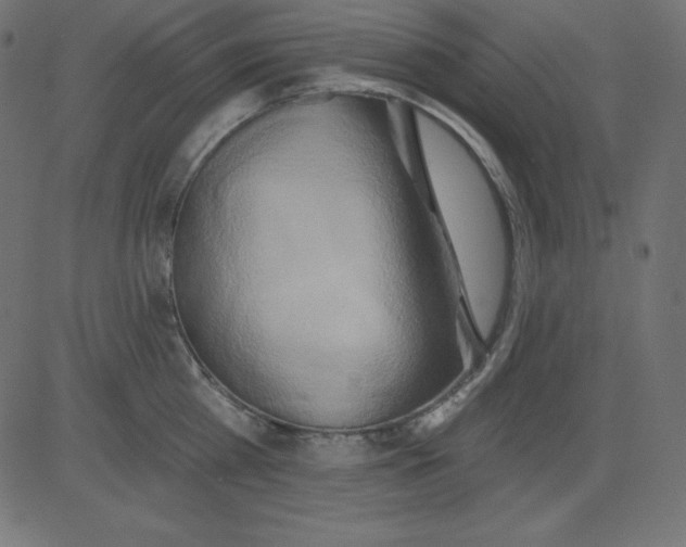 X0000081300809200702012308