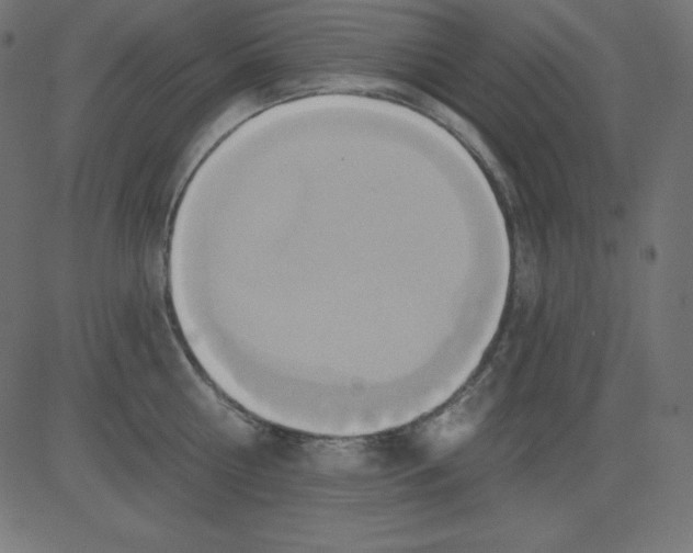 X0000081300810200702012308