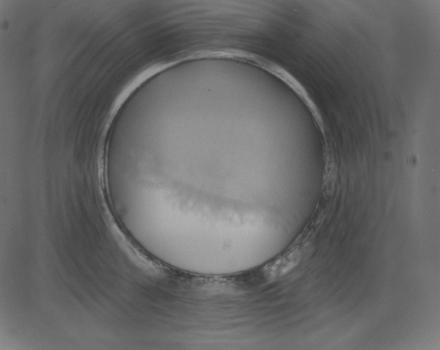 X0000081300811200702012308