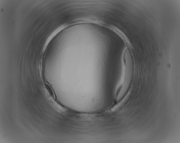 X0000081300812200702012308