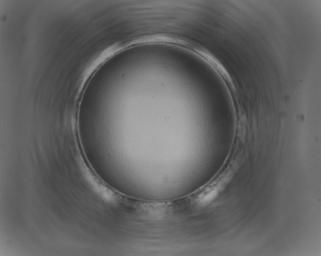 X0000081300813200702012308