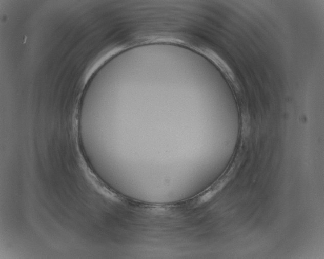 X0000081300814200702012308