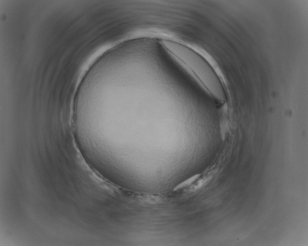 X0000081300815200702012308