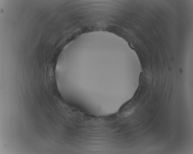 X0000081300818200702012307