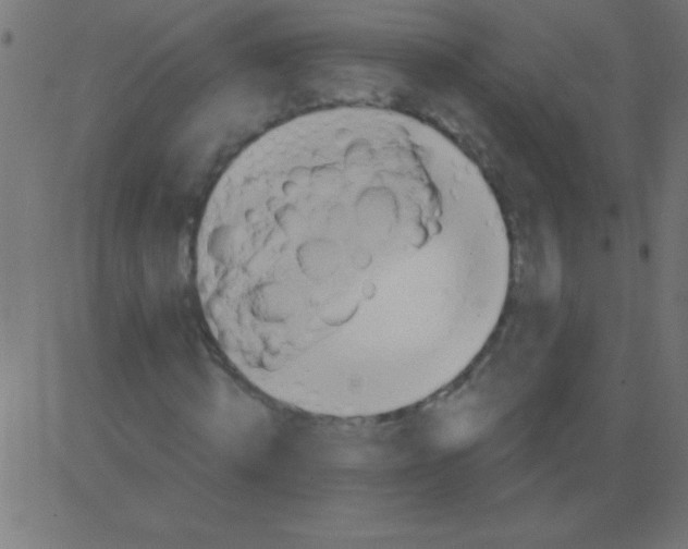 X0000081300820200702012307