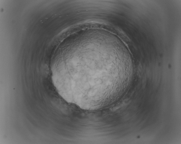 X0000081300821200702012307