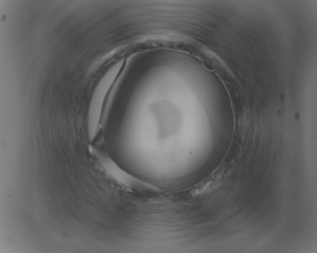 X0000081300822200702012307