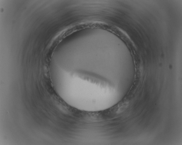 X0000081300823200702012307