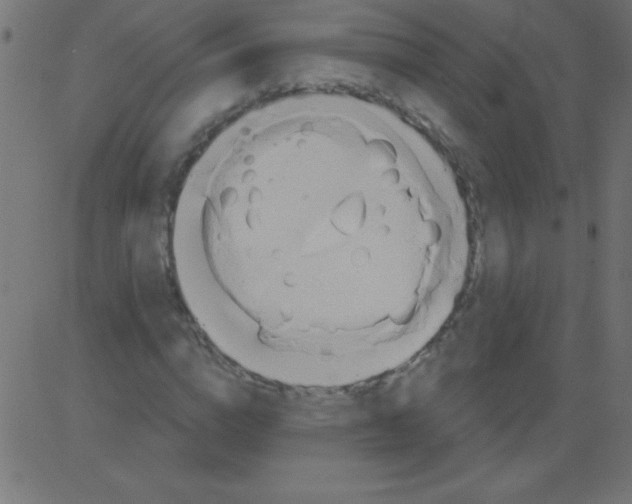 X0000081300824200702012307