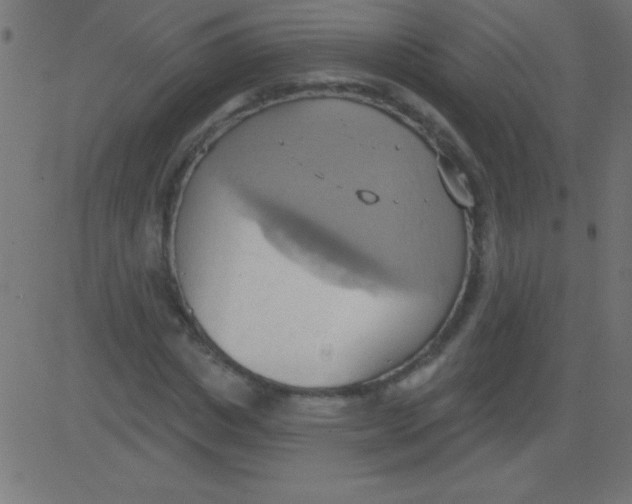 X0000081300825200702012307