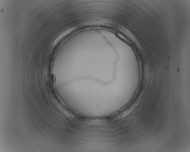 X0000081300826200702012307