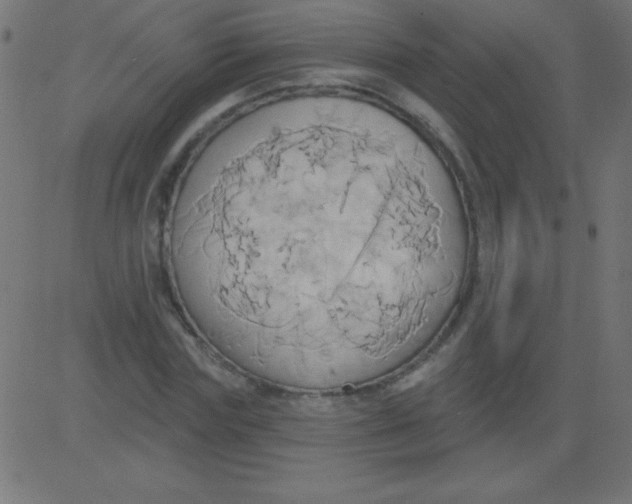 X0000081300827200702012307