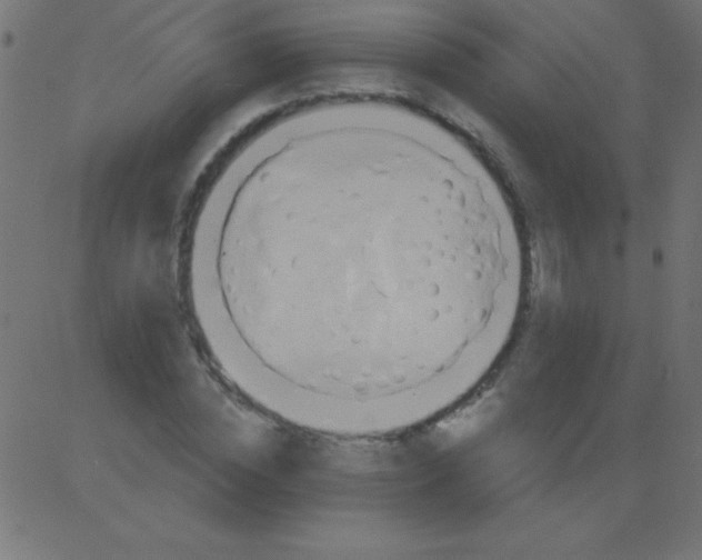 X0000081300828200702012307