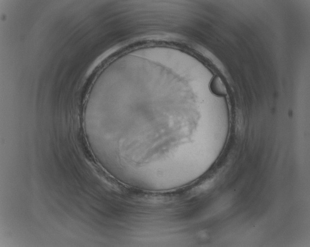 X0000081300829200702012307