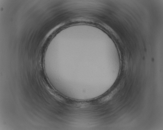 X0000081300830200702012307