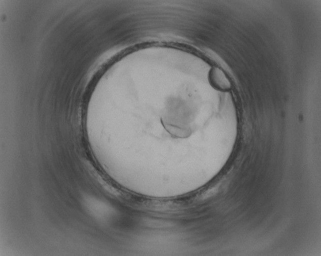 X0000081300831200702012307