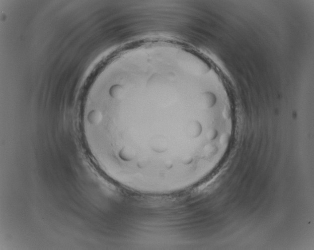 X0000081300832200702012307