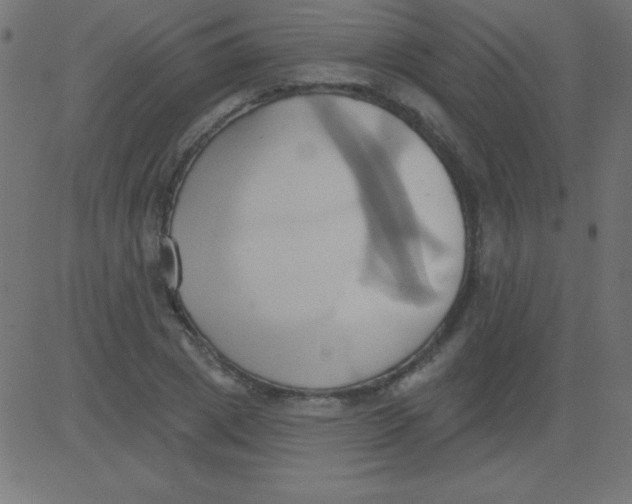 X0000081300833200702012307