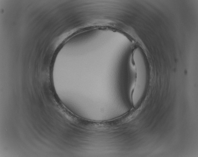 X0000081300834200702012307