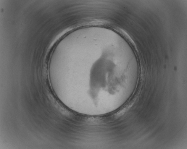 X0000081300835200702012307