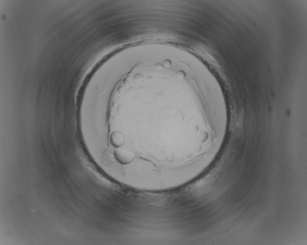 X0000081300836200702012307