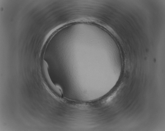 X0000081300838200702012307