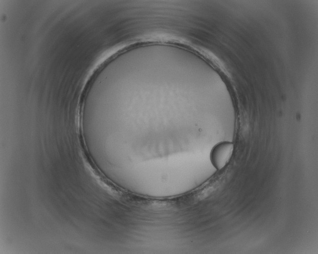 X0000081300839200702012307