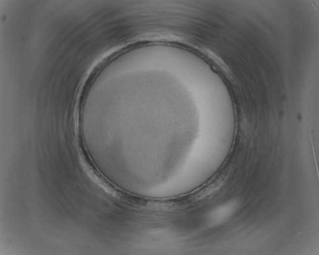 X0000081300840200702012307