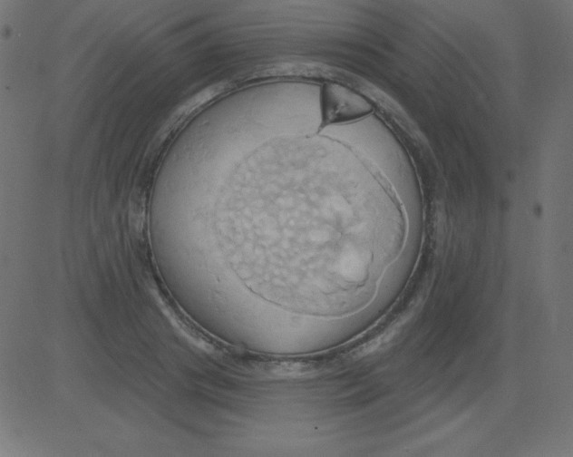 X0000081300841200702012307