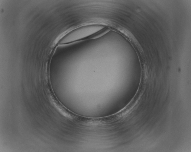 X0000081300842200702012307