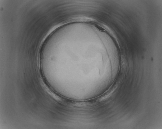 X0000081300843200702012307