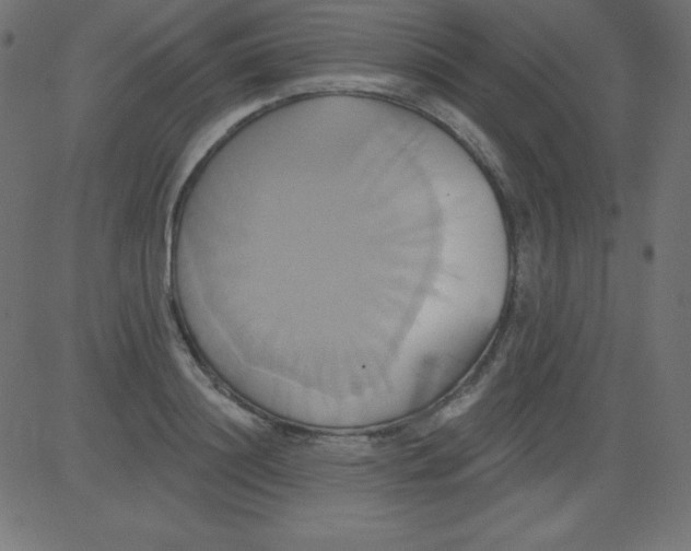 X0000081300844200702012307