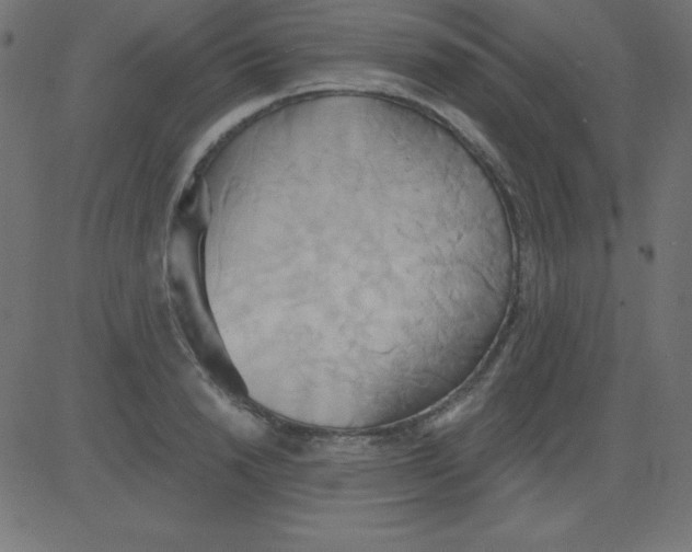 X0000081300846200702012307