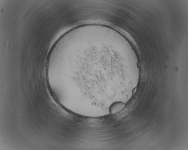 X0000081300847200702012307