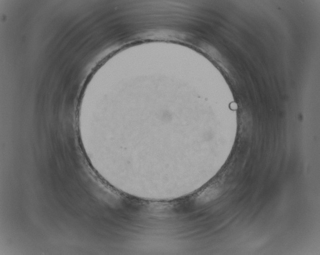 X0000081300848200702012307