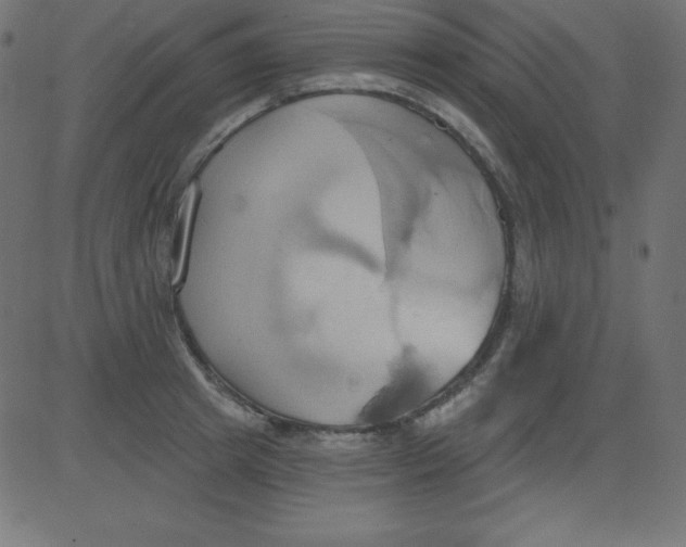 X0000081300849200702012307