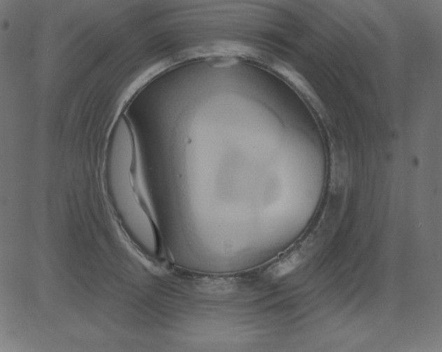 X0000081300850200702012307