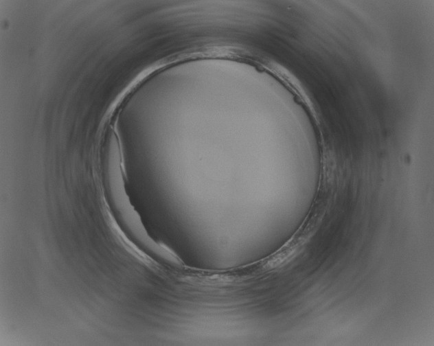 X0000081300851200702012307