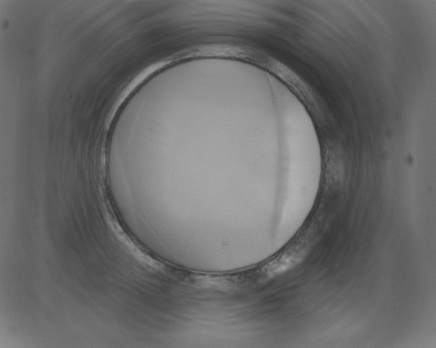 X0000081300852200702012307