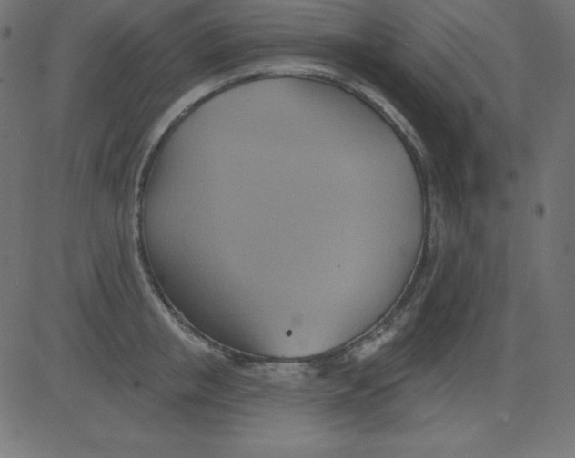 X0000081300853200702012307